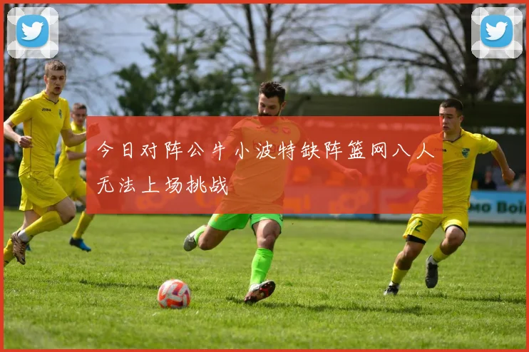 今日对阵公牛小波特缺阵篮网八人无法上场挑战