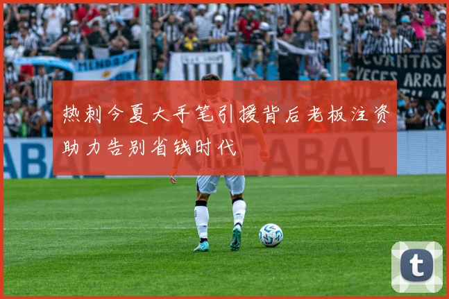 热刺今夏大手笔引援背后老板注资助力告别省钱时代