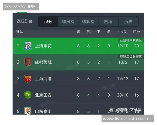 中超球队身价排行榜揭晓海港领衔申花国安泰山紧随其后